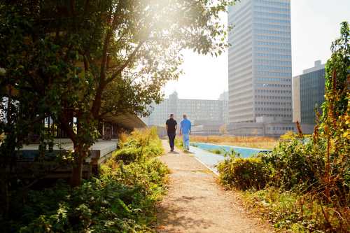 Vergroening in de Steden: De Aanbevelingen van de Rekenkamer Rotterdam